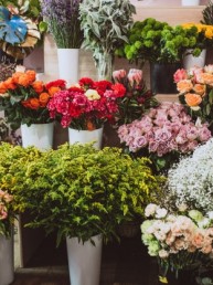 flowers-floral-shop-different-types